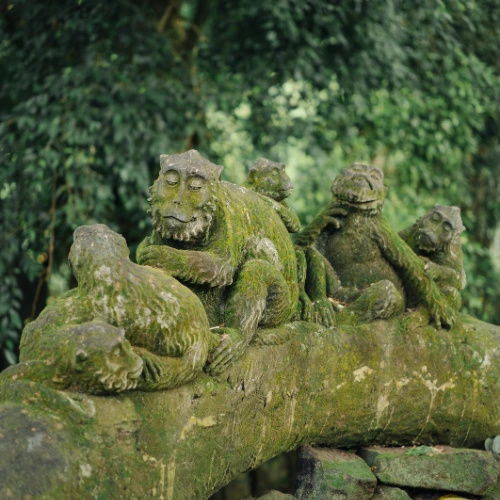 Ubud Monkey Forest bali