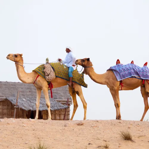 Dubai Desert Safari