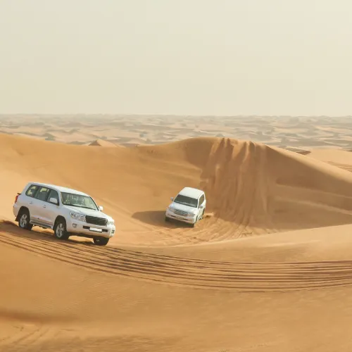 Dubai Desert Safari