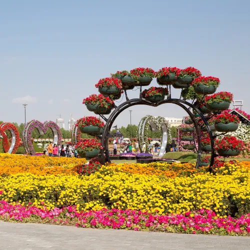 Miracle garden