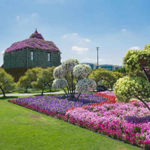 Miracle garden