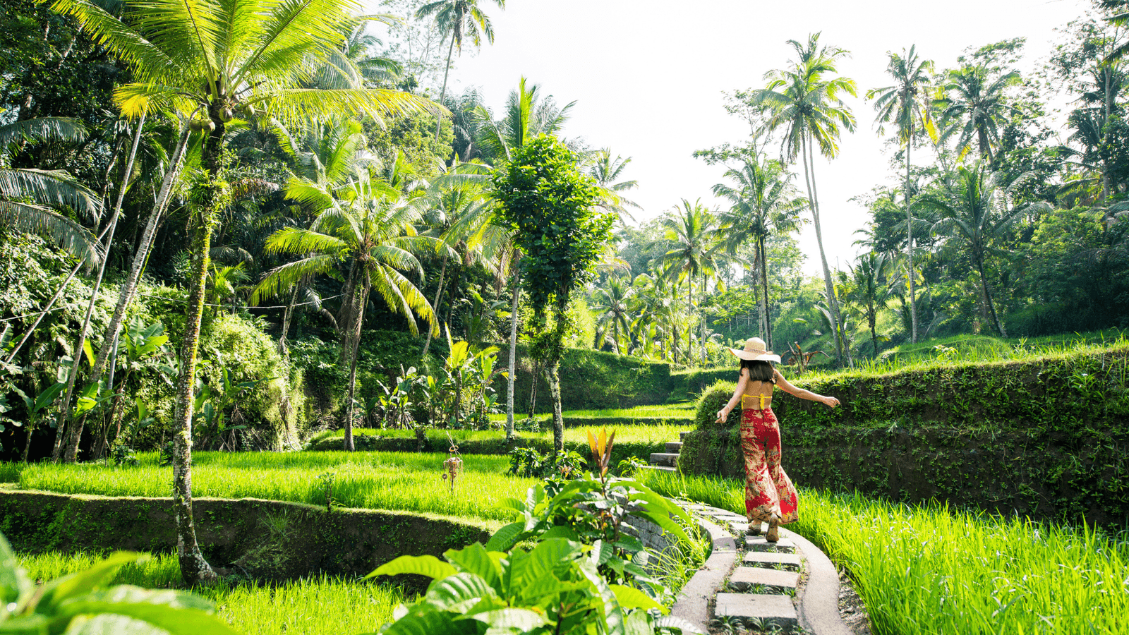 Tegallalang Rice Terraces Tour