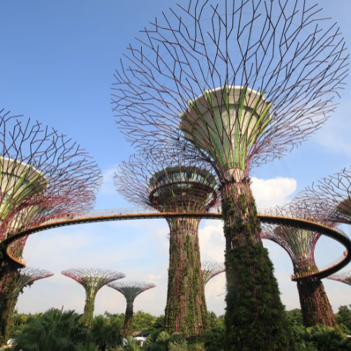 Garden by the bay singapore