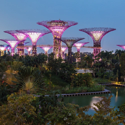 Garden by the bay singapore