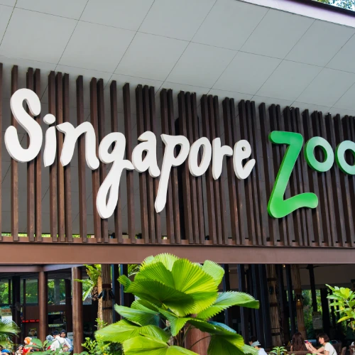 Singapore Zoo