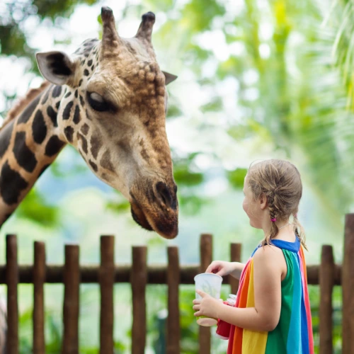 Singapore Zoo