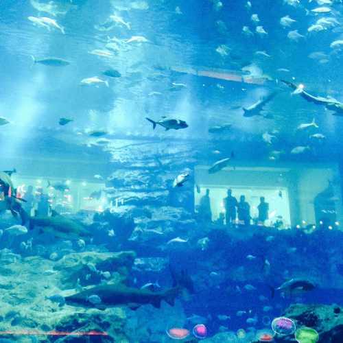 Underwater World pattaya