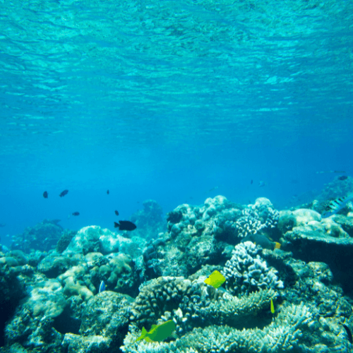 Underwater World pattaya