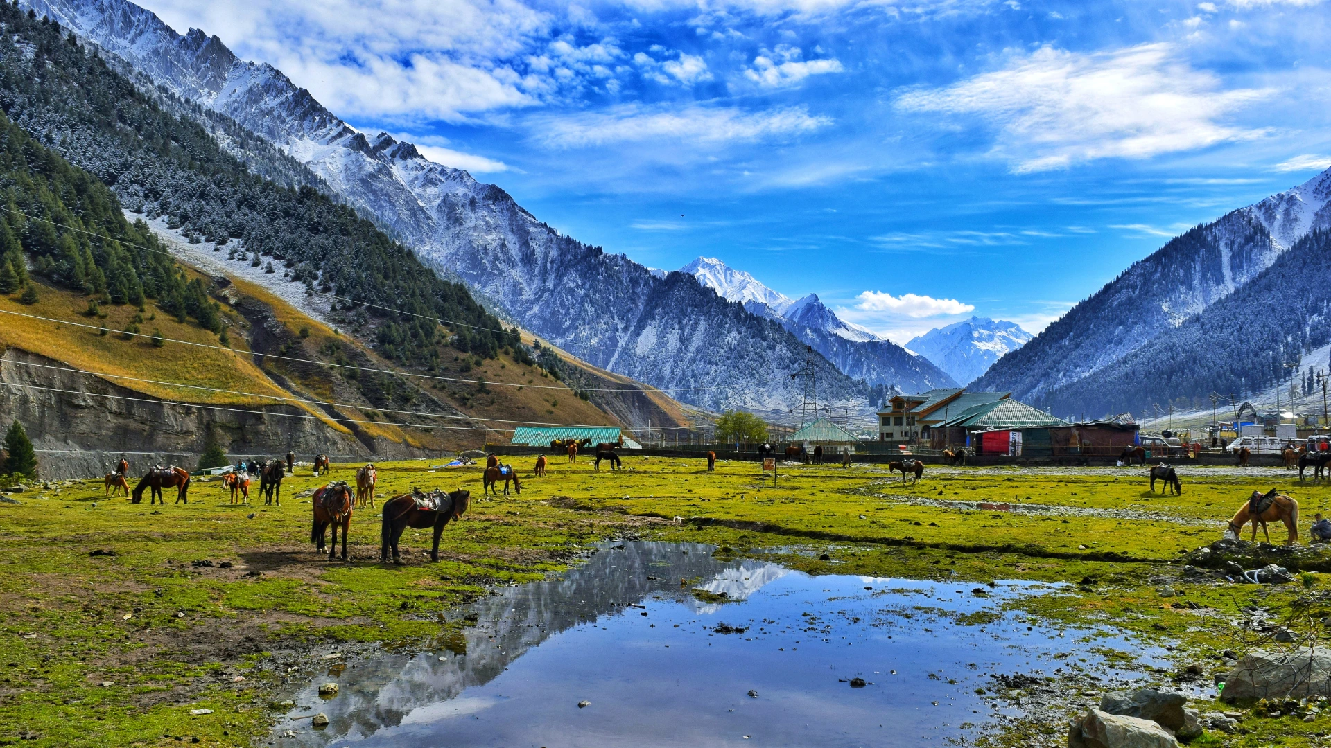 Srinagar to Pahalgam 