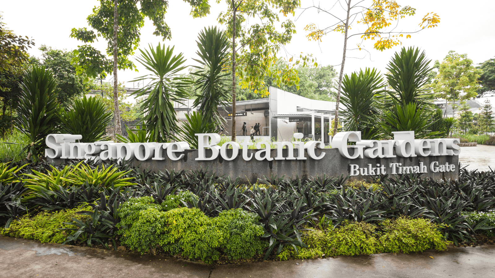 Singapore Botanic Gardens