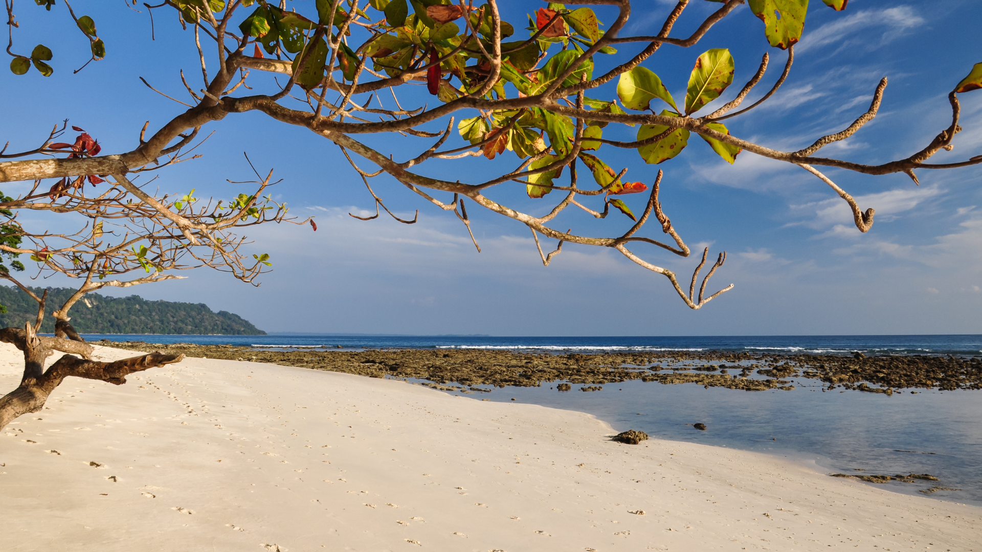 Radhanagar beach