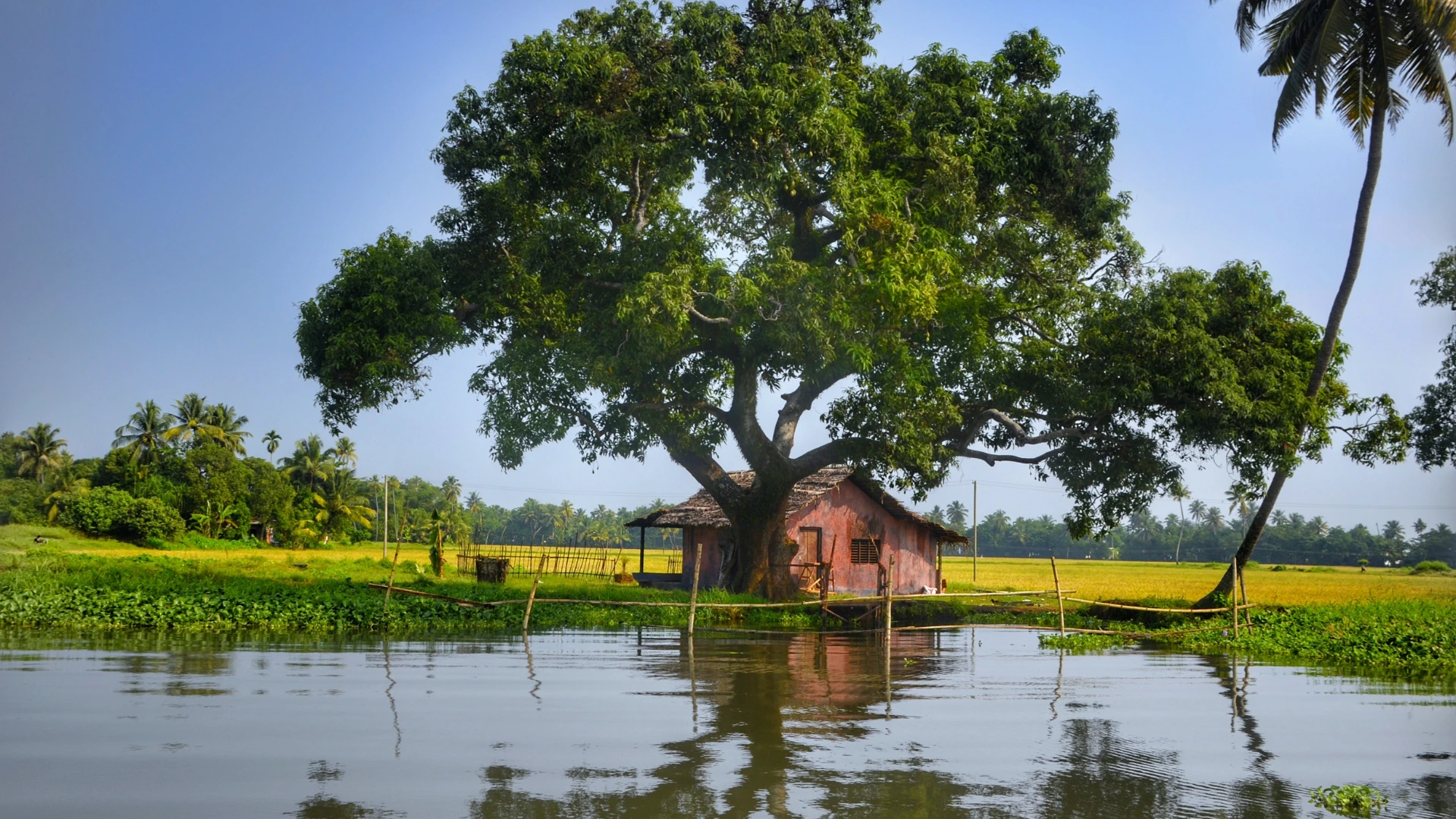 Thekkady 