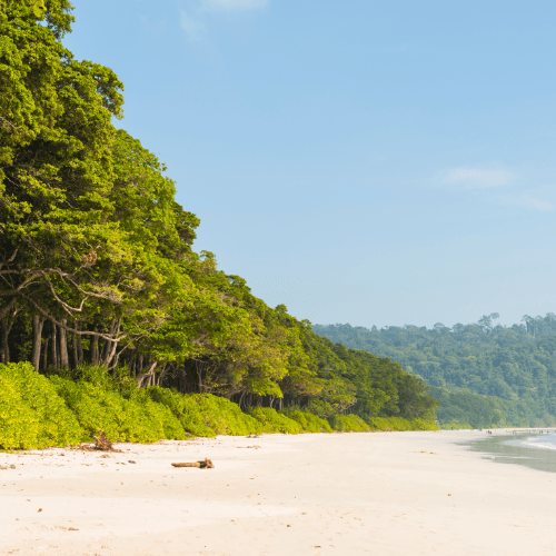 Radhanagar Beach