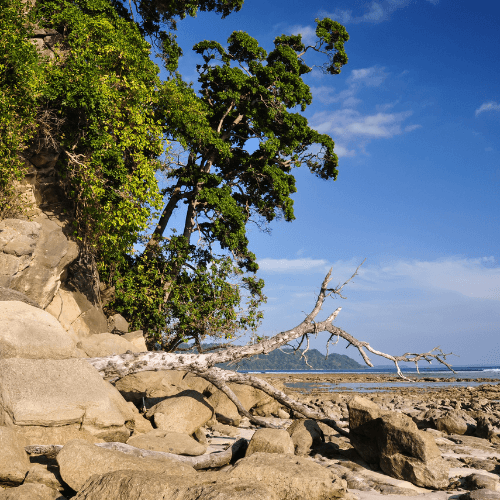 Radhanagar Beach