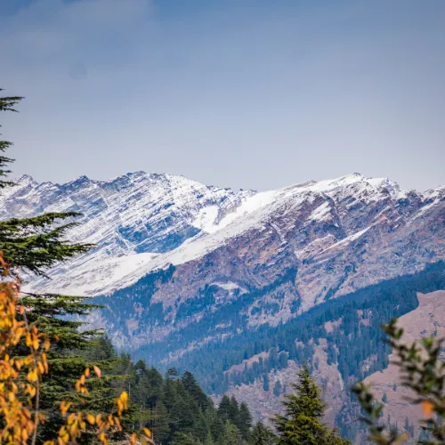 Manali