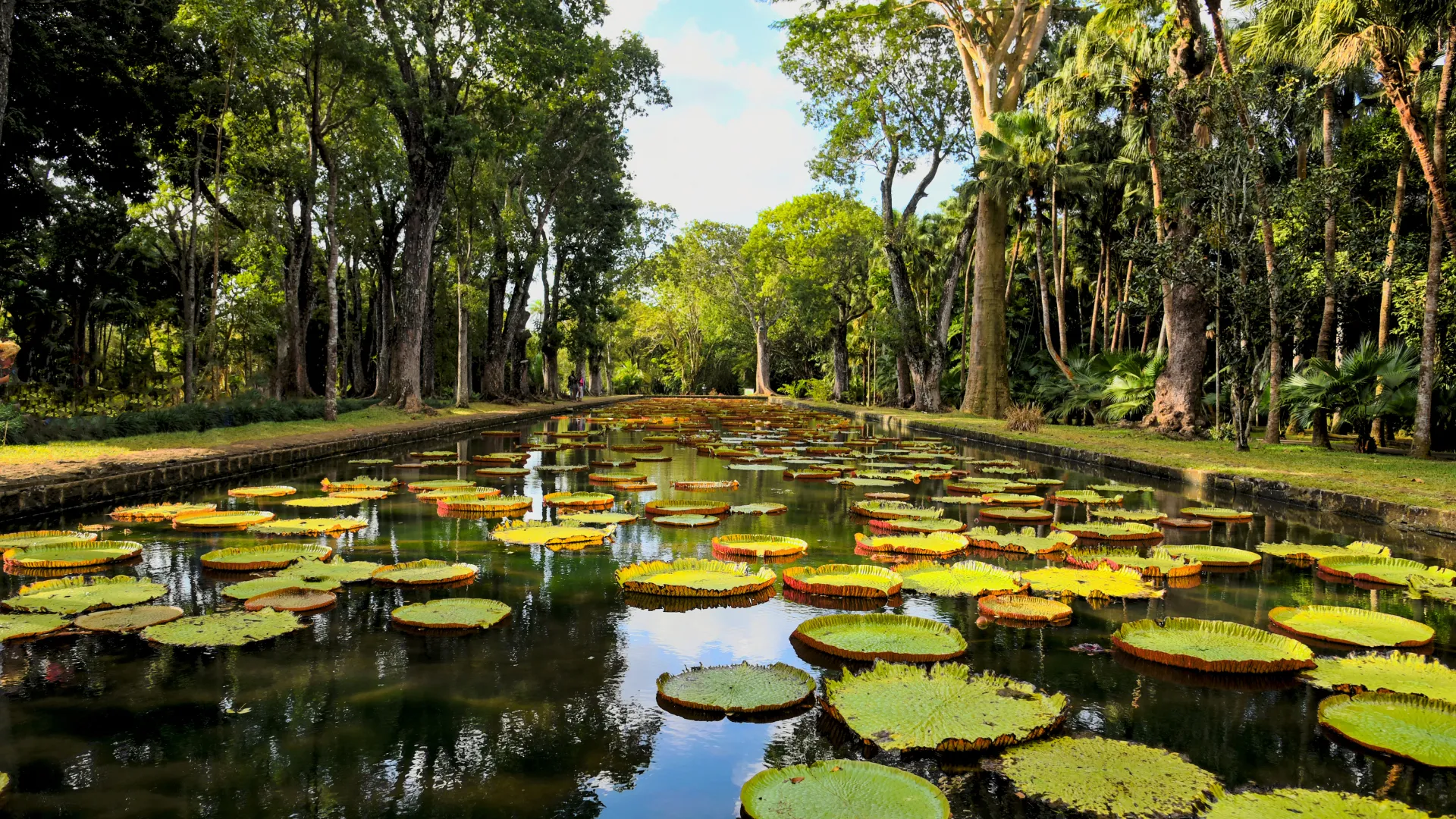 SSR Botanic Garden