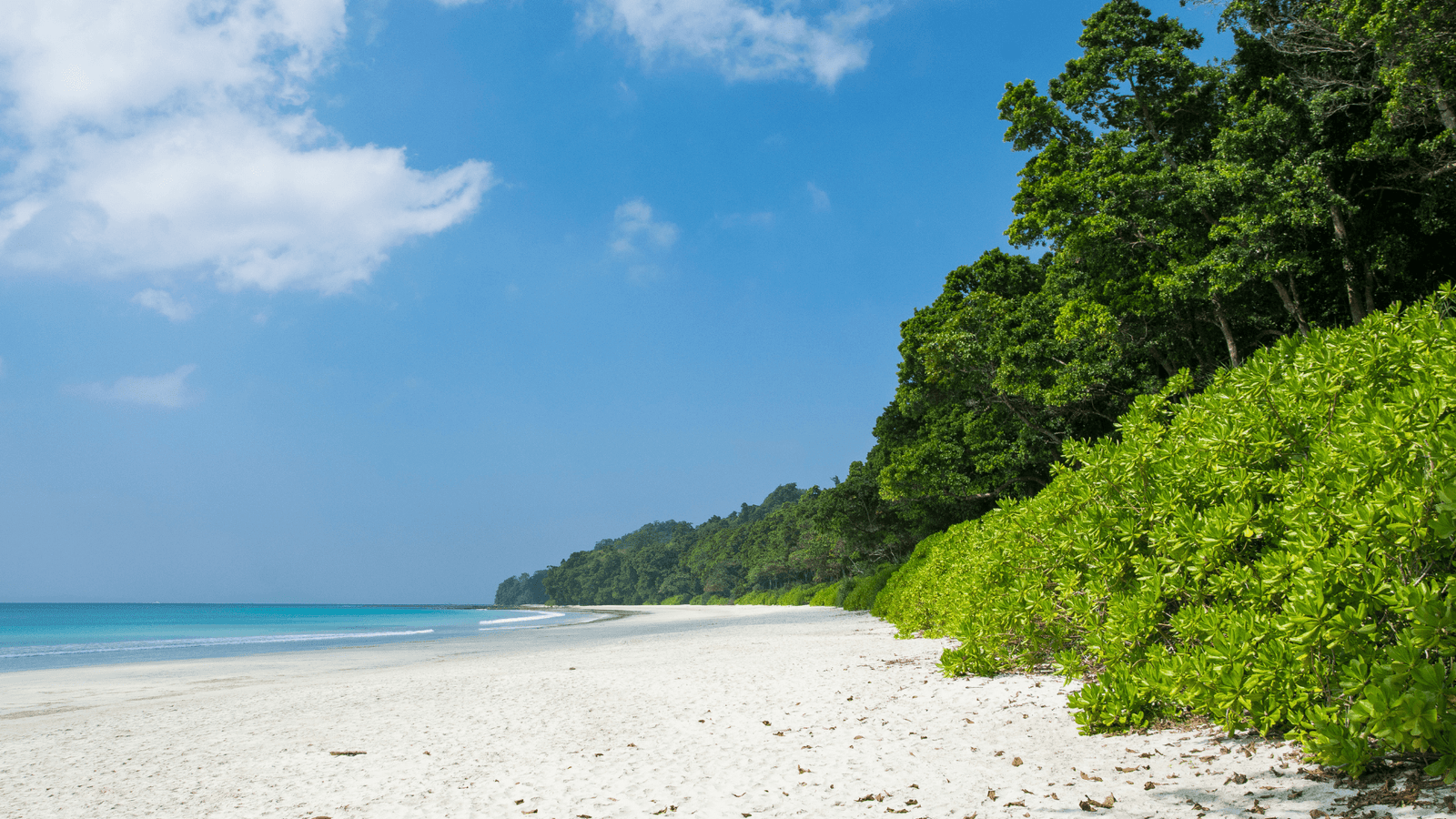 Radhanagar Beach