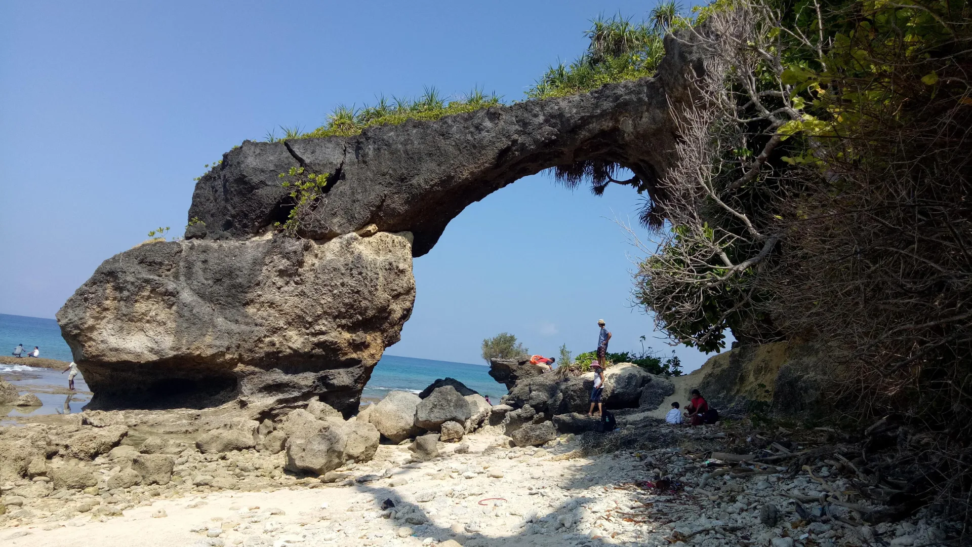 Natural Coral Bridge