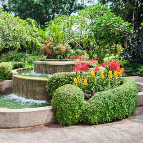 National Orchid Garden