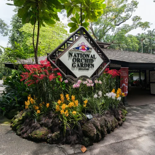 National Orchid Garden