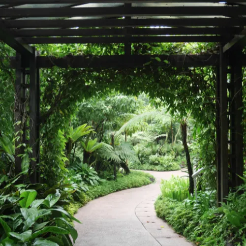 National Orchid Garden