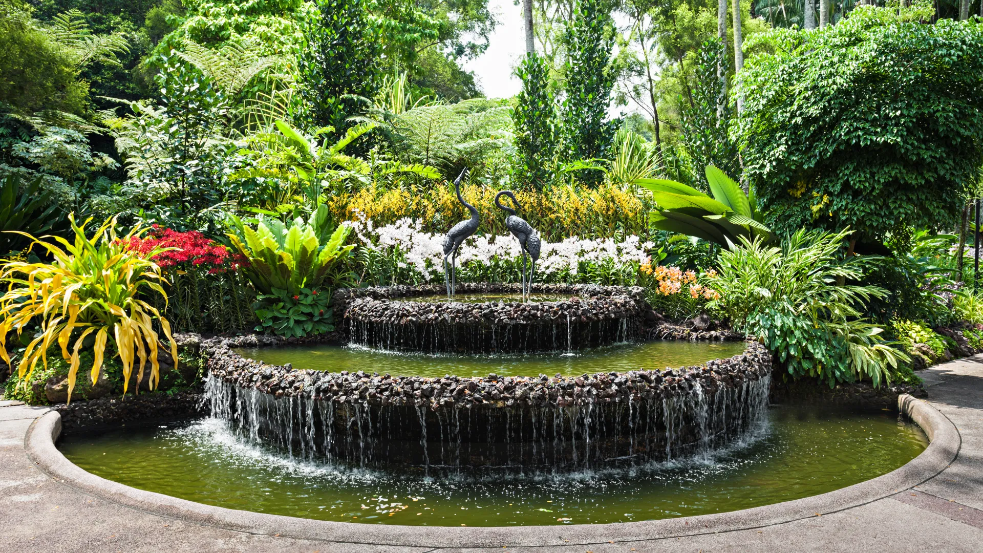National Orchid Garden