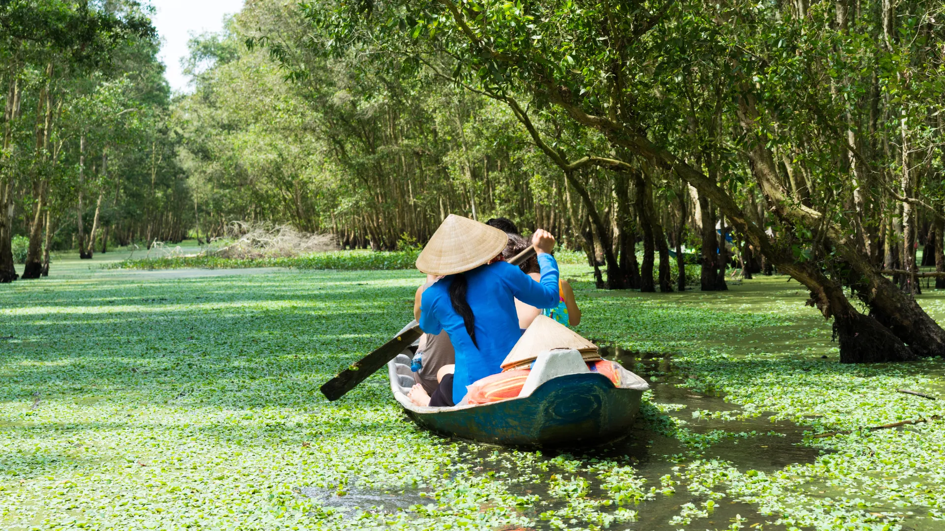 Mekong Delta 