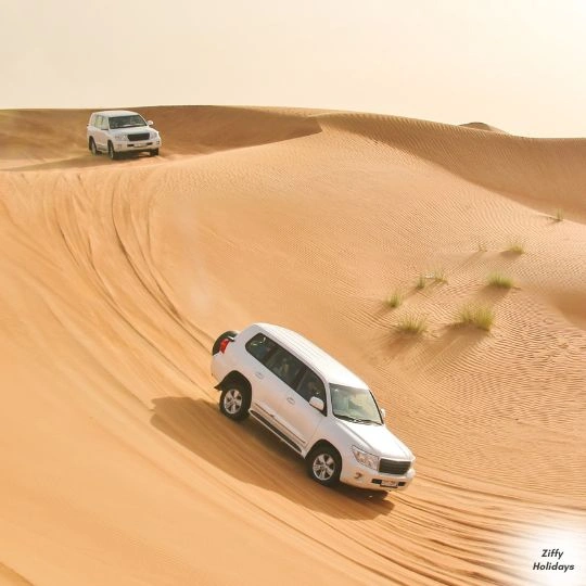 Dubai Desert Safari
