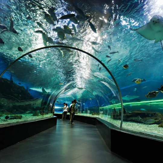 Underwater World Pattaya